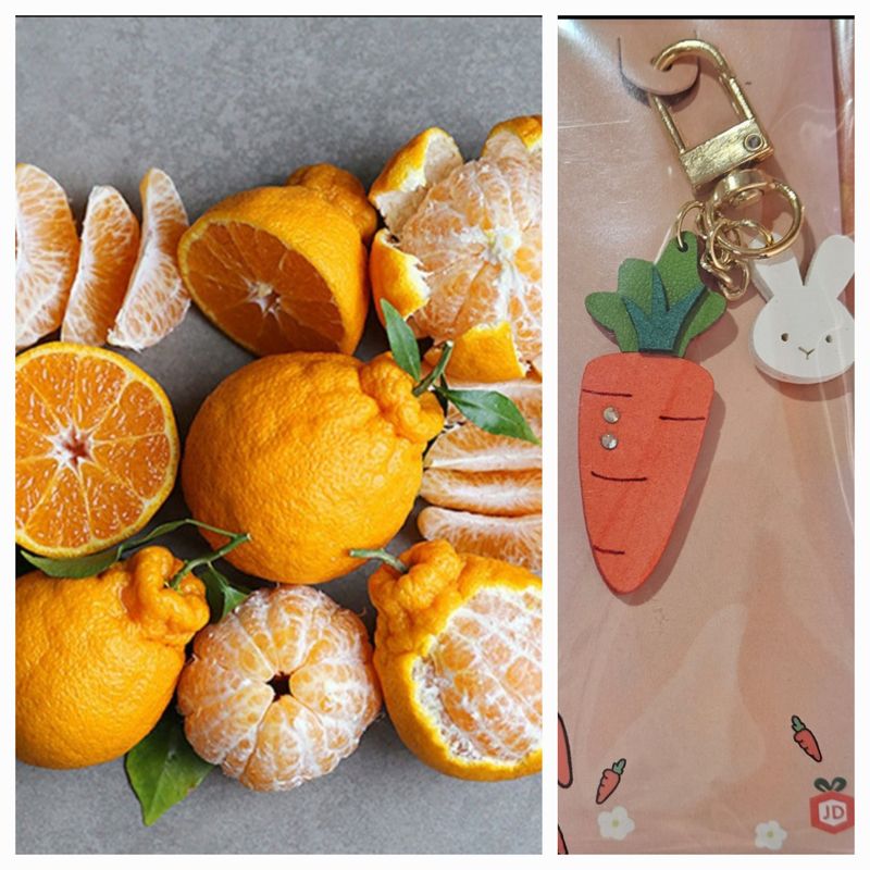 장터 상품 [(한정판매)중.소 노지한라봉9키로+키링증정] 썸네일