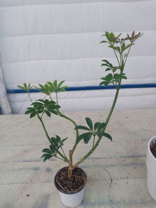 광탄엘림농원새롭게!님의 자유주제 · 자유게시판 작성글 사진