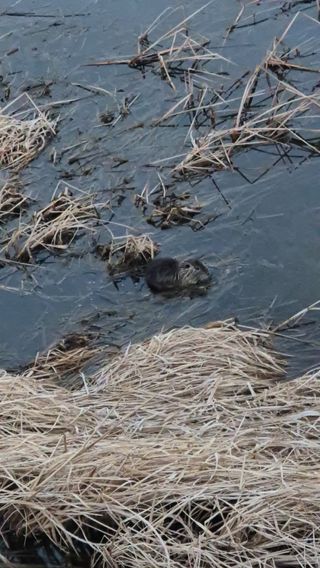 김상진님의 자유주제 · 자유게시판 작성글 사진