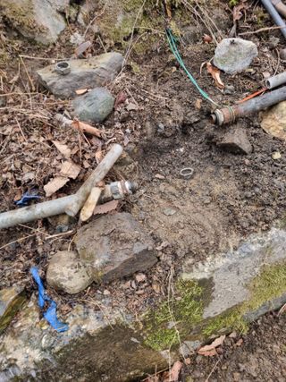 김용대님의 자유주제 · 자유게시판 작성글 사진