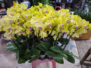 MSG0074님의 자유주제 · 자유게시판 작성글 사진