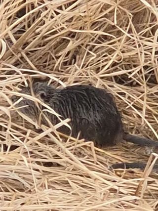 김상진님의 자유주제 · 자유게시판 작성글 사진