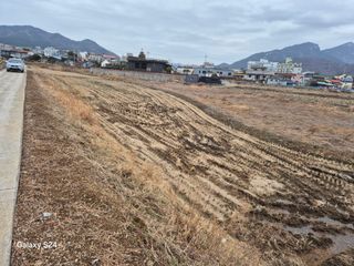 사천시향촌동 돼지띠님의 자유주제 · 자유게시판 작성글 사진
