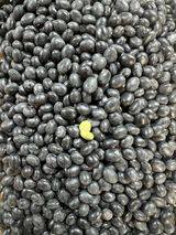 강원도김지원님의 자유주제·자유게시판 작성글 사진