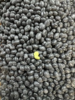 강원도김지원님의 자유주제 · 자유게시판 작성글 사진