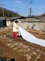 팜모닝 자유주제·자유게시판 게시글 이미지