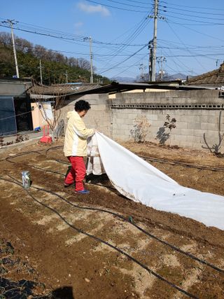 이영자 님의 자유주제 · 자유게시판 작성글 사진