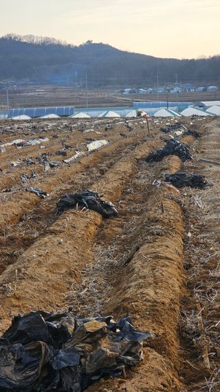 5도2촌님의 자유주제 · 자유게시판 작성글 사진