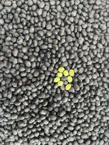 팜모닝 자유주제·자유게시판 게시글 이미지