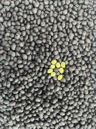 강원도김지원님의 자유주제 · 자유게시판 작성글 사진