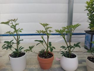 광탄엘림농원새롭게!님의 자유주제 · 자유게시판 작성글 사진