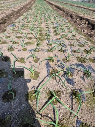 어영식님의 자유주제 · 자유게시판 작성글 사진