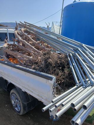 팜모닝회원 최창락 님의 자유주제 · 자유게시판 작성글 사진