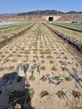 어영식님의 자유주제 · 자유게시판 작성글 사진