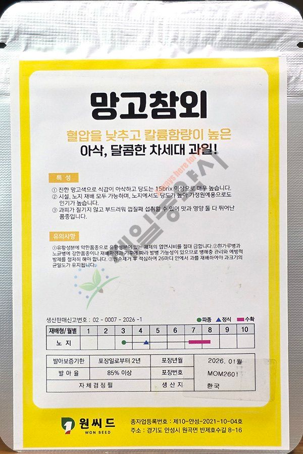 안산제일농약사님의 장터 판매 상품 [망고참외씨앗 100립] 첨부 사진