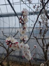 팜모닝 자유주제·자유게시판 게시글 이미지