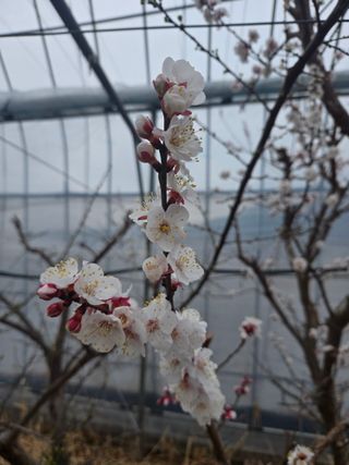 두릅나무9110님의 자유주제 · 자유게시판 작성글 사진