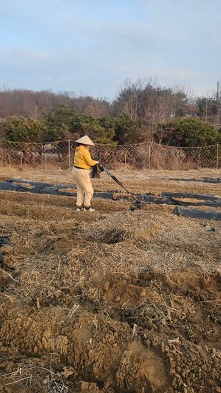 5도2촌님의 자유주제 · 자유게시판 작성글 사진