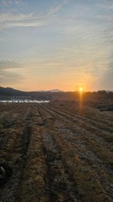 팜모닝 자유주제·자유게시판 게시글 이미지