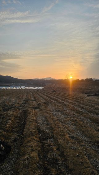 5도2촌님의 자유주제 · 자유게시판 작성글 사진