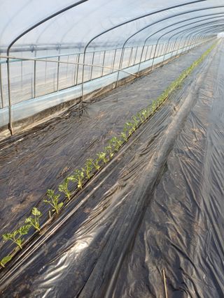 주성현님의 자유주제 · 자유게시판 작성글 사진