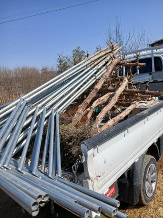 팜모닝회원 최창락 님의 자유주제 · 자유게시판 작성글 사진