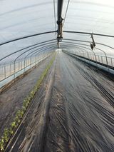 팜모닝 자유주제·자유게시판 게시글 이미지