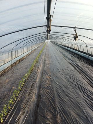 주성현님의 자유주제 · 자유게시판 작성글 사진