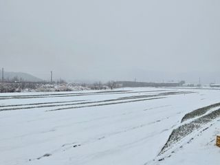 김태혁님의 자유주제 · 자유게시판 작성글 사진