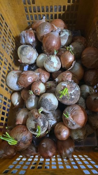 소병찬님의 자유주제 · 자유게시판 작성글 사진