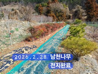 박성민님의 자유주제 · 자유게시판 작성글 사진