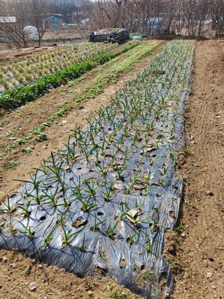 늘찬님의 자유주제 · 자유게시판 작성글 사진