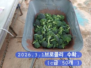 박성민님의 자유주제 · 자유게시판 작성글 사진