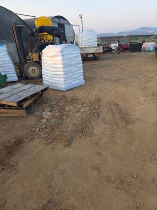 대산농사대장님의 양파 · 자유게시판 작성글 사진