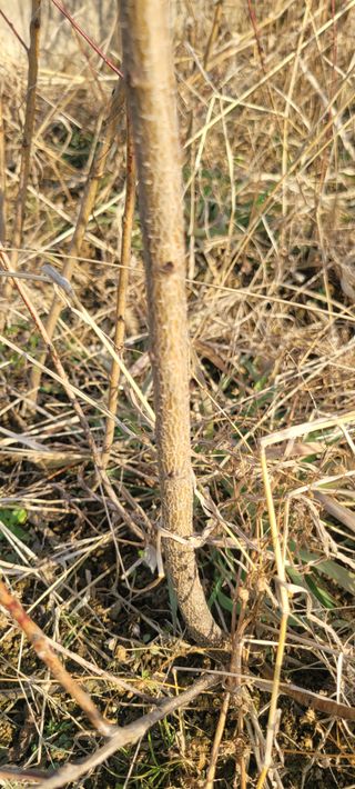 니나노님의 작성글 사진