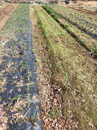 늘찬님의 자유주제 · 자유게시판 작성글 사진