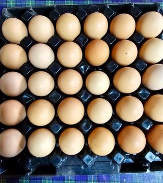 알 수 없음님의 작성글 사진