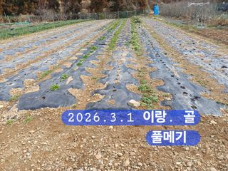 박성민님의 자유주제 · 자유게시판 작성글 사진