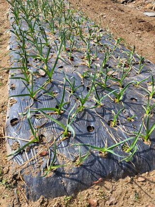 늘찬님의 자유주제 · 자유게시판 작성글 사진