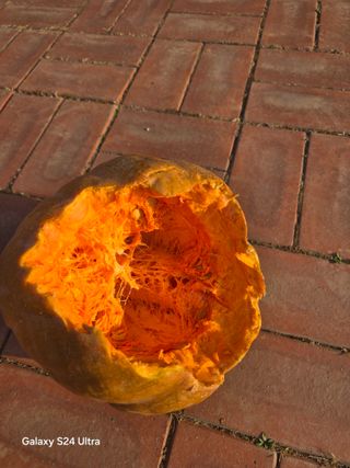 소병찬님의 자유주제 · 자유게시판 작성글 사진