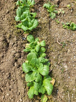 늘찬님의 자유주제 · 자유게시판 작성글 사진