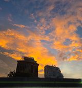 팜모닝 자유주제·자유게시판 게시글 이미지