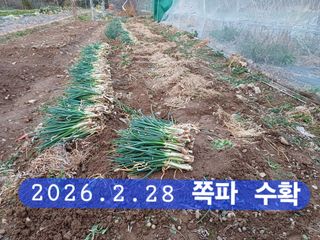 박성민님의 자유주제 · 자유게시판 작성글 사진