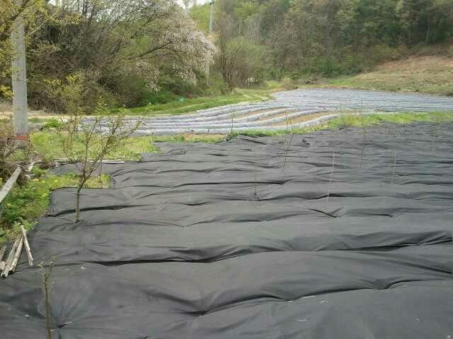 한솔부직포님의 장터 판매 상품 [잡초방지 농업용부직포 폭50cm부터 3m] 첨부 사진