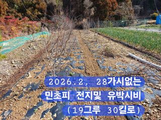 박성민님의 자유주제 · 자유게시판 작성글 사진