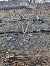 김용대님의 자유주제·자유게시판 작성글 사진