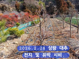 박성민님의 자유주제 · 자유게시판 작성글 사진