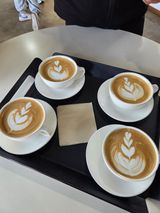 팜모닝 · 게시글 이미지