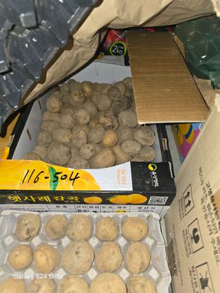 소병찬님의 자유주제 · 자유게시판 작성글 사진