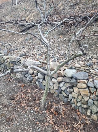 김용대님의 자유주제·자유게시판 작성글 사진